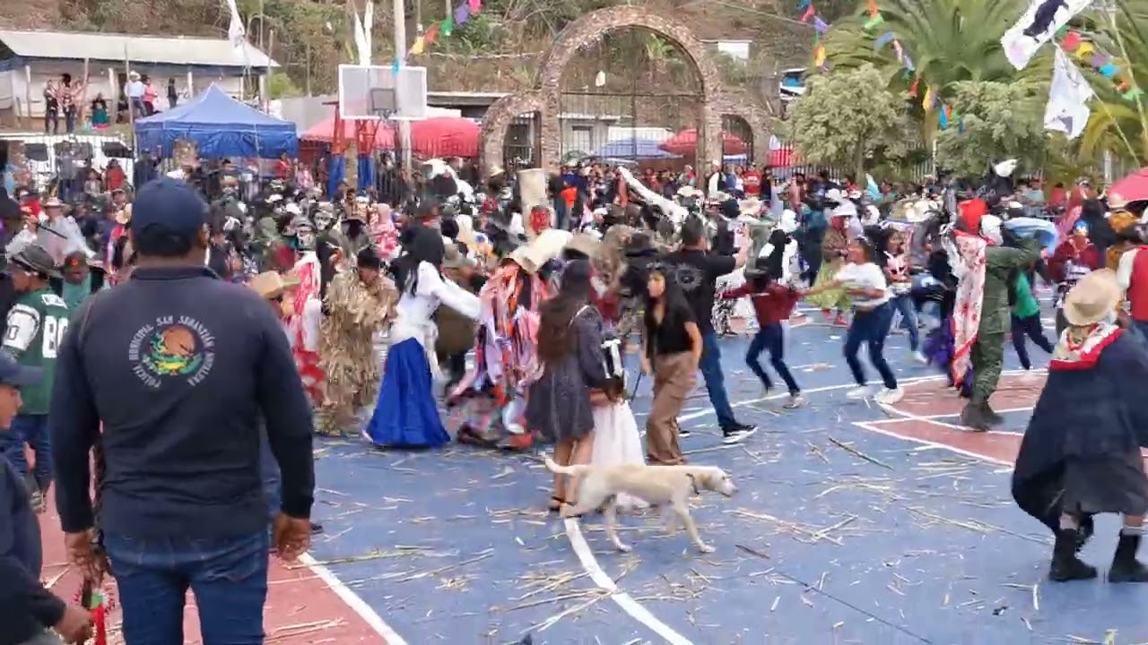 Carnaval 2026...San Sebastián Nopalera 🐄 