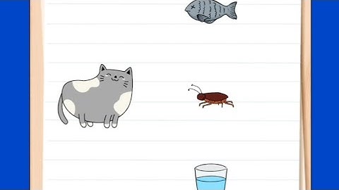 #brain test all star level 11 #The cat wants some fish and then a chicken with some water in between