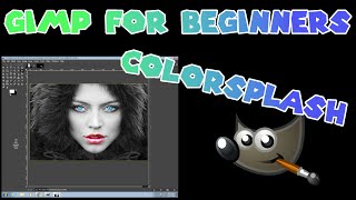 Celebrity COLOR SPLASH - GIMP FOR BEGINNERS Profile