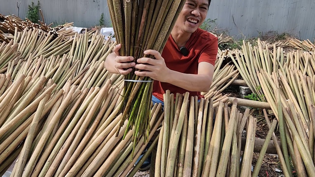 สร้างเงินล้าน จากบ้องโสน  |  เอิร์ธสดชื่น สร้างอาชีพ