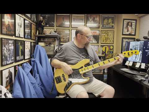 Madonna - Take A Bow Bass Cover