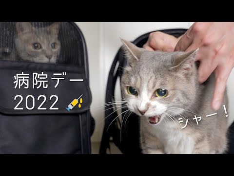 病院デー 2022（ワクチン接種に行ってきました） | #モアクリ Vlog081