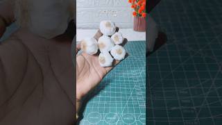 വീട്ടിൽ വെളുത്തുള്ളി ഉണ്ടാക്കിയാലോ 🧄#crafting #craftideasfun #papercrafts