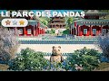 Le parc des pandas  carrire difficile  pisode 3  planet zoo