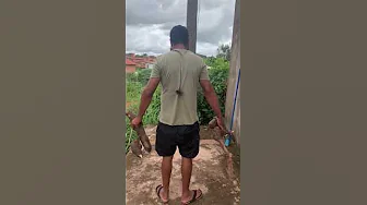 Large Spider Crawls on Brother After Picking Cassava || ViralHog
