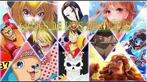 ¿Qué edad tiene Luffy en Wano?