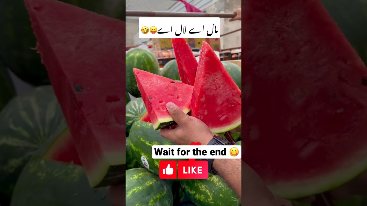 | लाल तरबूज laal tarabooj 