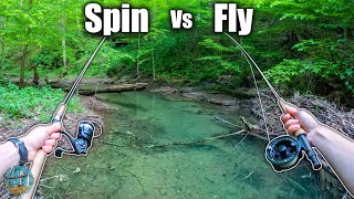 Fly Fishing vs Spin Fishing: Which is better? (Brook Trout Edition)