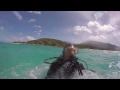 CHASING CORAL: THE VR EXPERIENCE at AFI DOCS 2017
