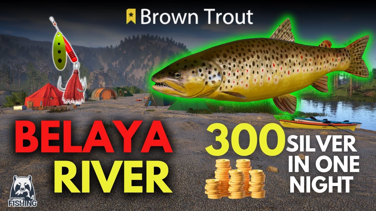 Belaya River Russian Fishing 4 | 300 Silver Coins  Brown Trout