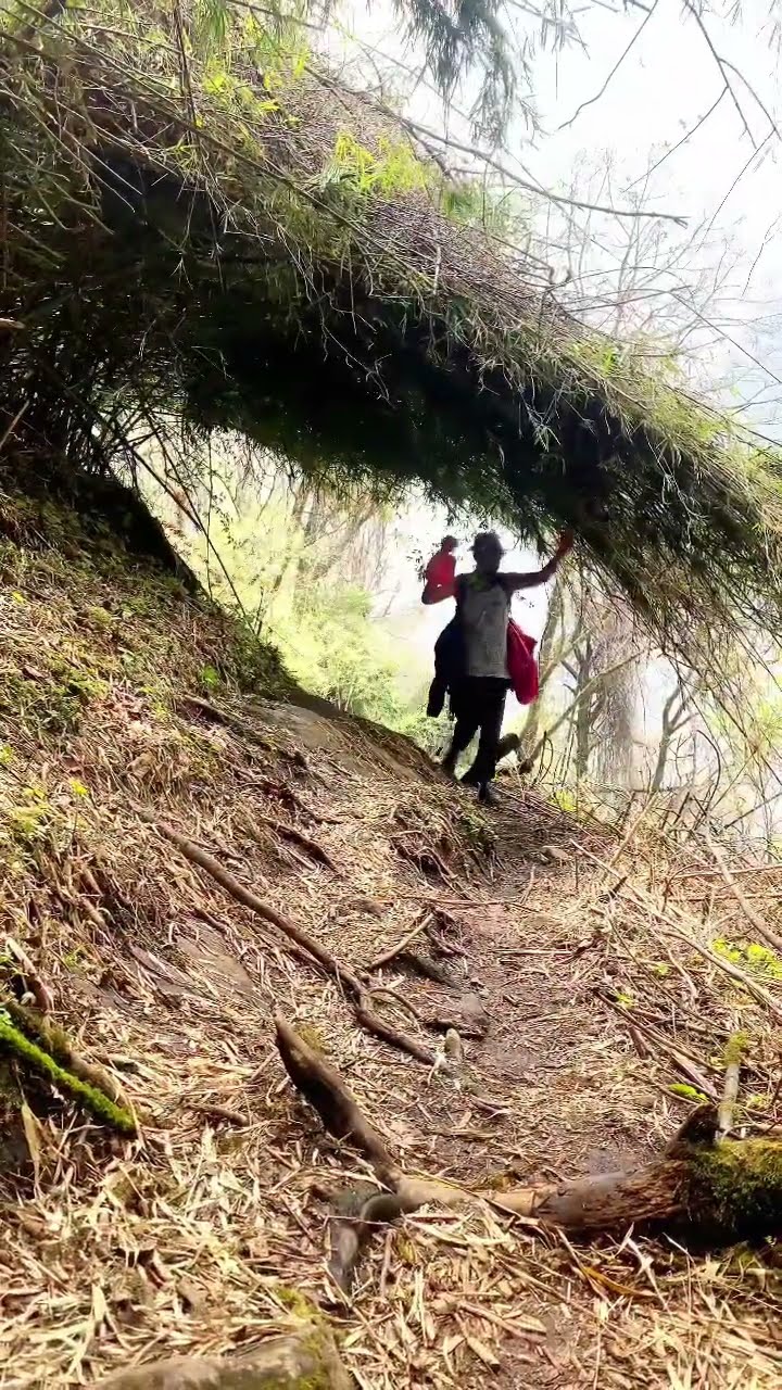 #youtubeshorts #youtube #shortsvideo #shorts #bhagyaneupane #short #hindi #song #nepal #hindisong
