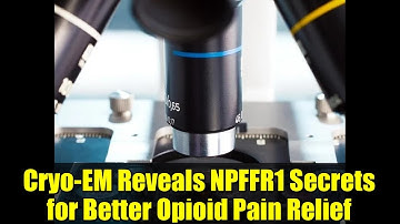Cryo-EM Reveals NPFFR1 Secrets for Better Opioid Pain Relief