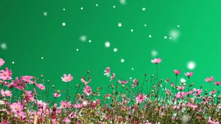 Flowers green screen video | Grass flower green screen | green screen flower effect