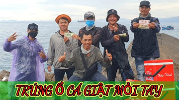 VUONG LT VLOG | câu cá biển | hòn khô Nhơn Hải gặp ổ cá giò | Nấu ăn trên đảo cùng anh_em