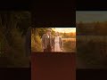 From Old to Gold: AI Photo Restoration Tutorial | TubeXpert #short#gemini#photoediting