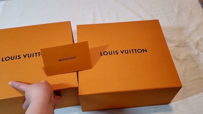 Louis Vuitton New Packaging : Yay or Nay ? – danetigress