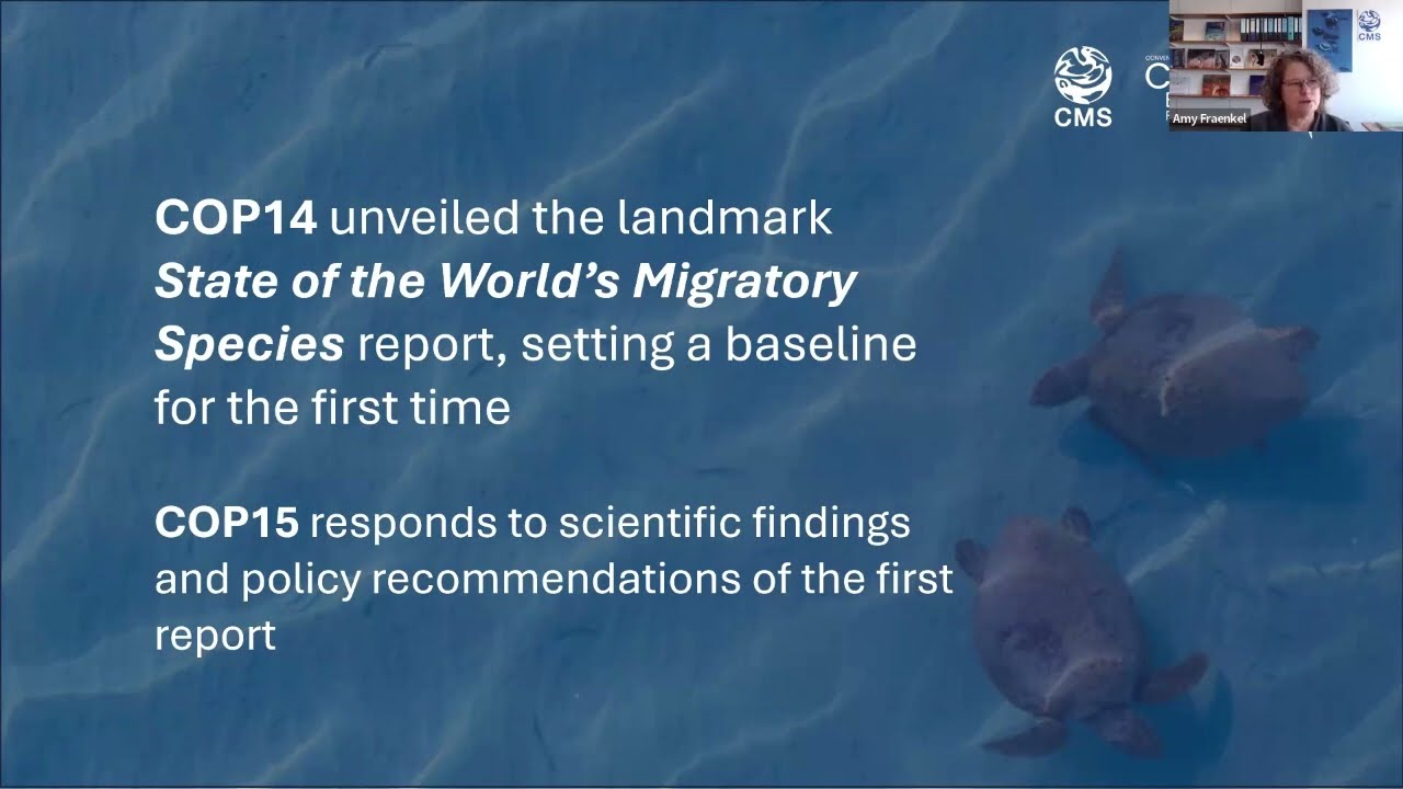 Online Media Briefing - CMS COP15 and interim report of the State of the World's Migratory Species