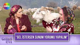 Sunuuz Buse Varolun Gözlemesini Keçi Yedi Gelin Evi 1686. Bölüm