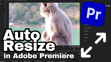 How to Auto Reframe Video in Adobe Premiere Pro CC | Adobe Tutorial