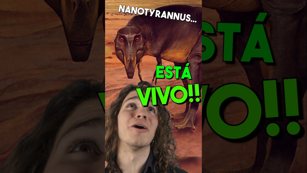 ¡El Retorno del NANO-REY! 