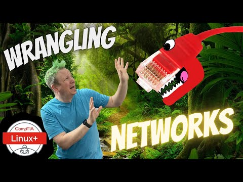 Manage Linux Networks!