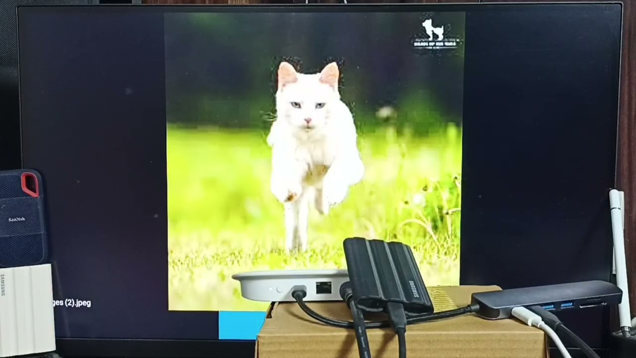 How to Connect Any SSD to Google TV Streamer 4K | Transfer Files, Videos & Photos | Chromecast TV