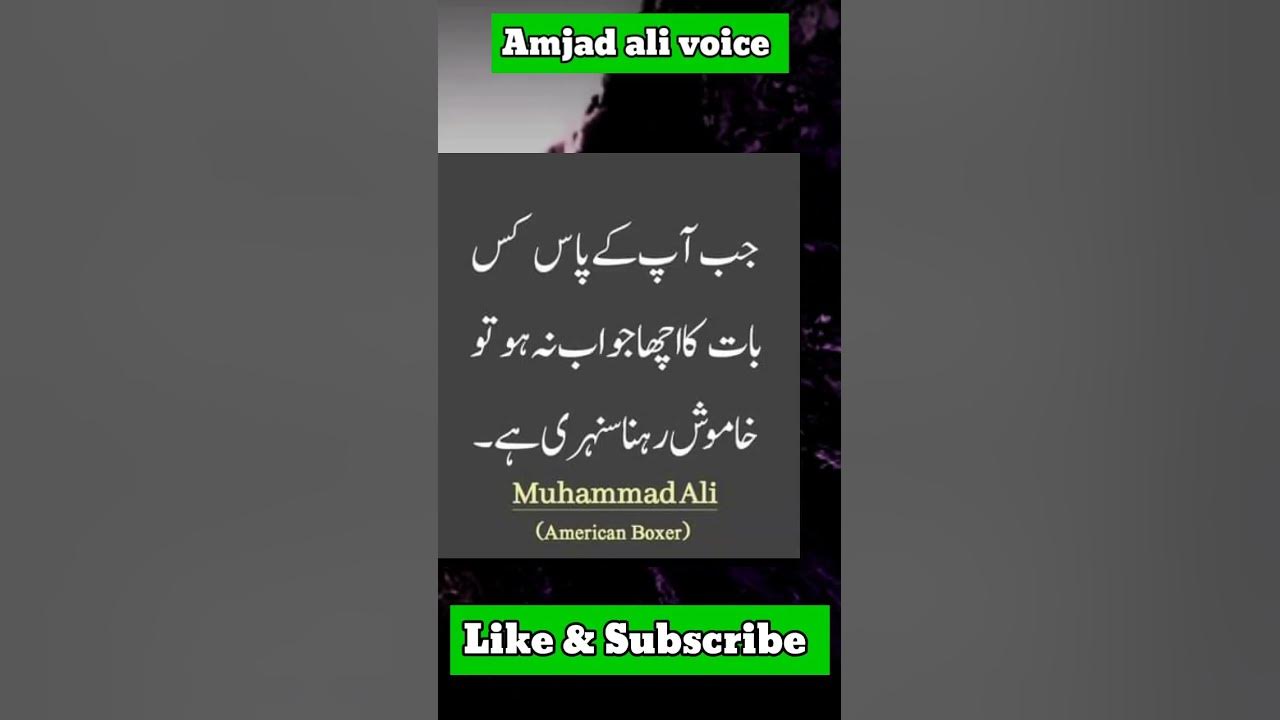 M ali America boxer urdu aqwal 4 shorts viral urdu youtubeshort