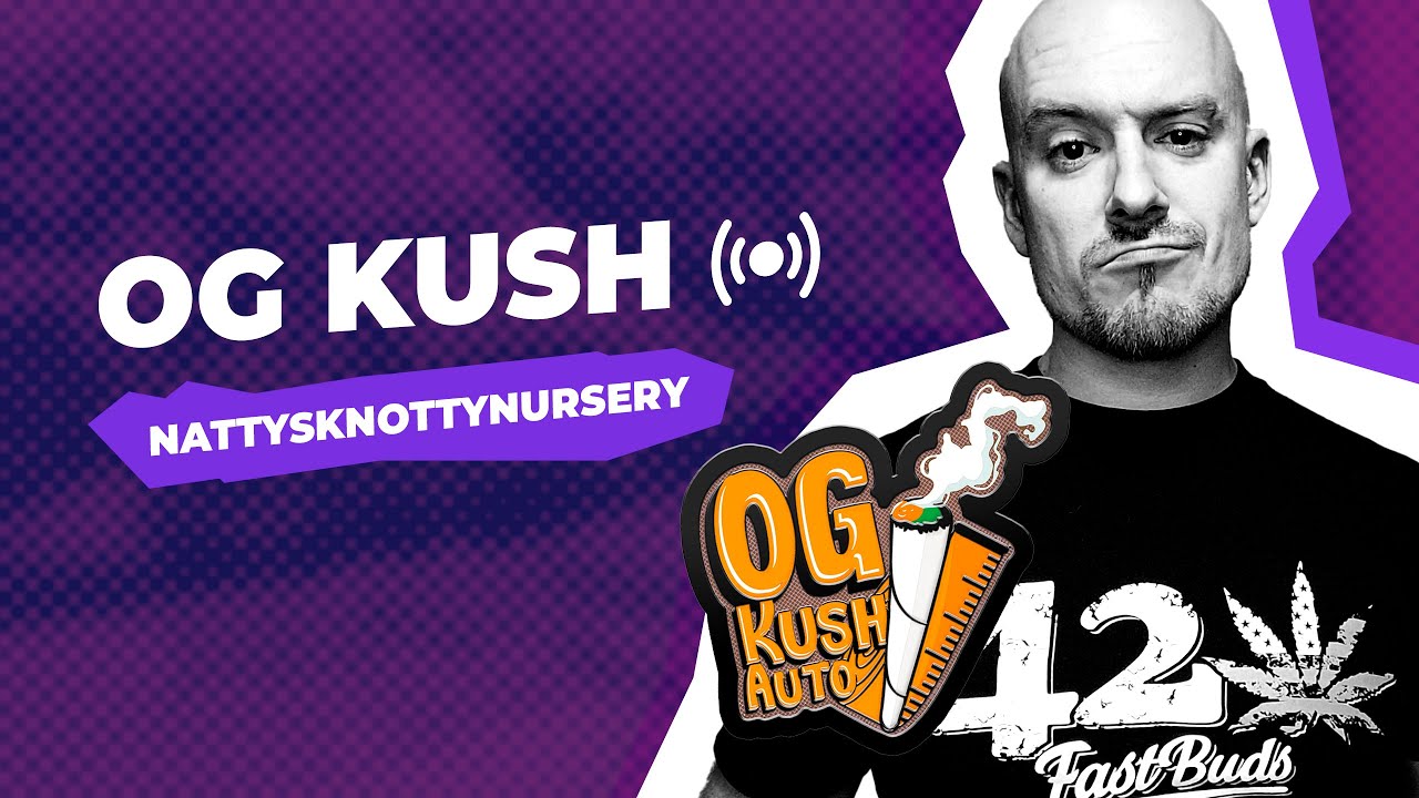 OG Kush Original Fast Buds |  NATTY'S KNOTTY NURSERY