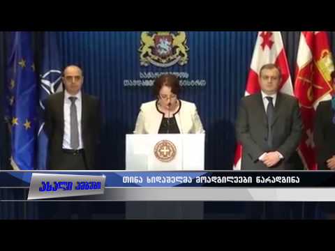 თინა ხიდაშელმა მოადგილეები წარადგინა 15.05.2015