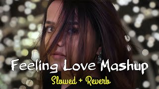 TRENDING INSTAGRAM LOFI MASHUP| SLOWED+REVERBED | MIND FRESH LOFI SONG | FEELING LO-FI SONGS ||