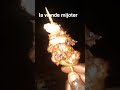 la viande mijoter de Chine