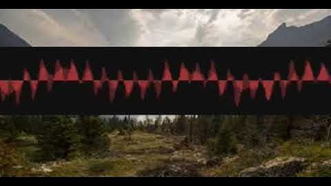 Syncretismintone Lied wfsnqydywh