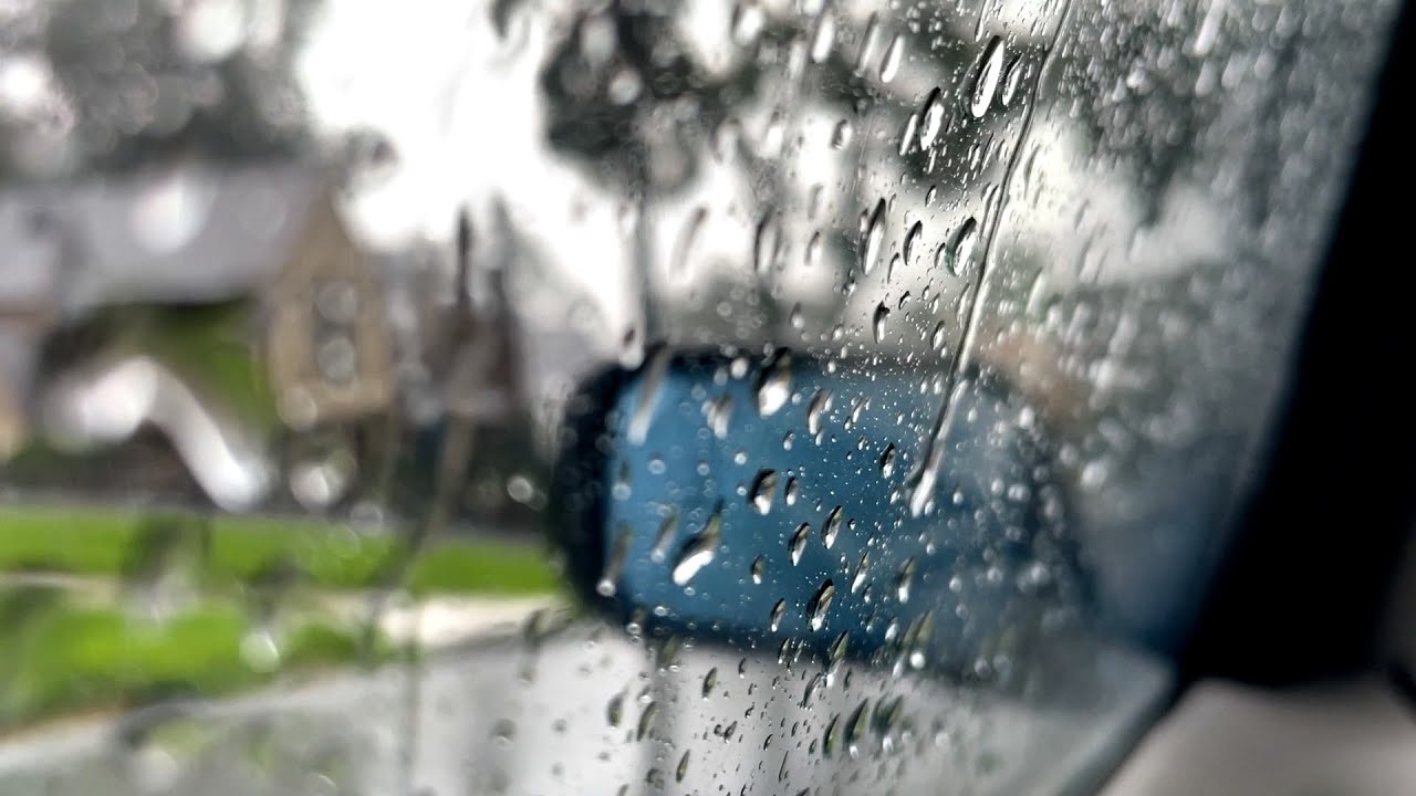 Sam Wills - 'Traingazing' ft. Honey Mooncie