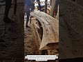 Accurate Wood Grooving Using a Router Table | Clean &amp; Efficient Joinery