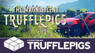 The Magnificent Trufflepigs - Digging Up The Truth