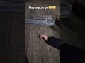Перепрыгнул на фингерборде!подписывайтесь!