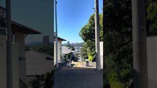 IMG 9294