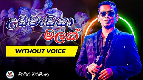Udawadiya Malak Wela Karaoke Without Voice with Lyrics