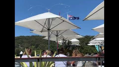 Bird Control Australia - Spinning 360 Bird Spiders