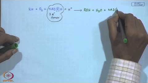 Mod-09 Lec-09 Electron Transport Proteins - V
