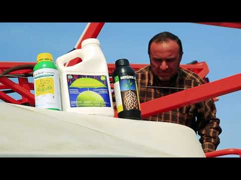 სოფელი წნორი. ხარვიზებით დათესილი ქერი და ხორბალი