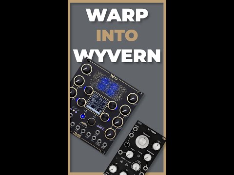 Warp (Neuzeit) Into Wyvern (Malstrom) #synth #sound #electronicmusic #eurorack #eurorackmodular