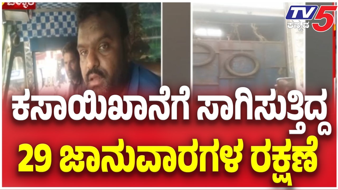 Illegal Cattle Smuggling Busted in Ballari: ಕಸಾಯಿಖಾನೆಗೆ ಸಾಗಿಸುತ್ತಿದ್ದ 29 ಜಾನುವಾರಗಳ ರಕ್ಷಣೆ