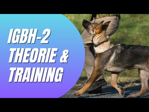 IBGH-2 Training: Theorie & Praxis für perfekten Gehorsam