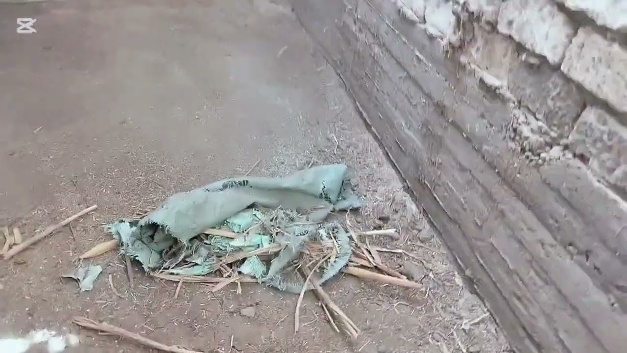 رجعنا تاني بعد غياب كام يوم لبيتنا بيت المواشي 😔 يارب مش طالبين غير الستر 💔😔