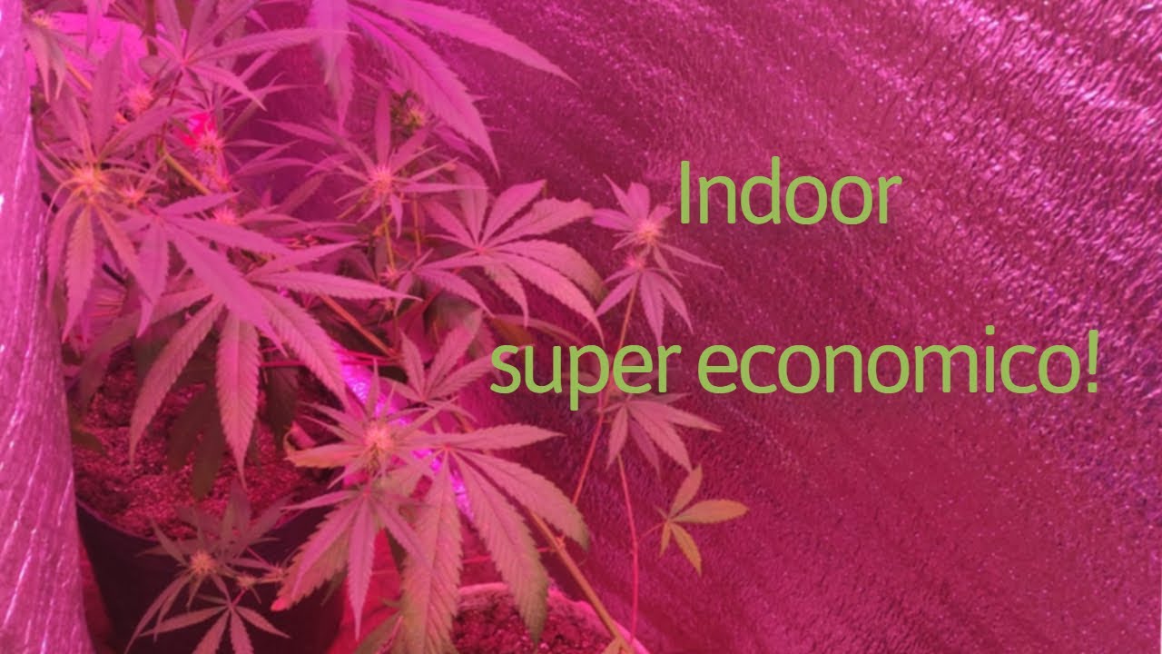 Como hacer un indoor casero?