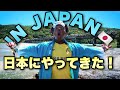 スピードが日本にやってきた‼️(スピード翻訳)