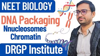 Download lagu DNA Packaging | Nucleosomes, Chromatin, Chromosome | Class 12 | NEET | NCERT Biology 