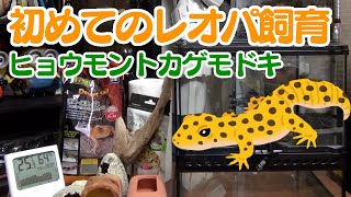 【初めてのレオパ飼育】飼育セットの組み方