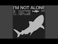 Miniature de la vidéo de la chanson I'm Not Alone (Thomas Schumacher Remix)